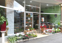 FLORISTERÍA AVI-FLOR Bilbao FLORISTERÍA AVI-FLOR Bilbao